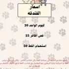 فندقه قطط وطيور