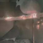 جوز يمام قمري