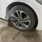 جنوط النترا وكاله