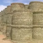 لفات رودس