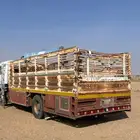 صندوق عايدي 6 متر