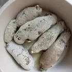 عسل بري جبلي دون تدخل بشري