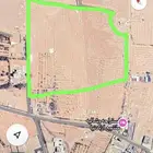 فرصه ذهبيه صك حر مساحه 66500