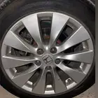 جنوط اكورد 13