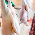 ذبايح خرفان ورخال غنم شهران مع السلخ والتوصيل