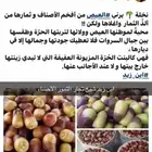 برني وكعيمر درجه أولى فاخر ملكي حبه رقم واحد