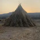 قصب يابس للبيع