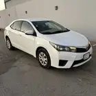 كداد طالع يوم الخميس من ظهران الجنوب