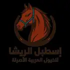 مطلوب سايس خيل