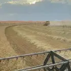 رخصة قمح موسم 2026