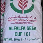 بذور باسفيك الامريكى استلام فى الكويت