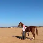 نورة سأري كندا