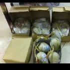تصفية ألعاب نارية كمثرى 7و10 بوصه