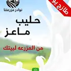 حليب ماعز طازج