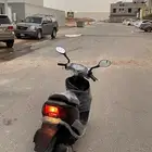 Original Japanese Duck Bike