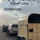 عربة نقل خيل ببيشة