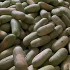 حبحب جازان احمر حالي