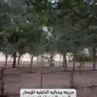 مزرعة صيد
