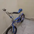 سيكل ابو عريش