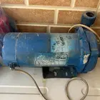 دينمو سمنان 1 حصان