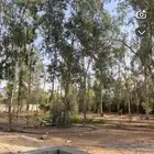 استراحه للنزهة في طلحة للإيجار