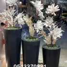 فازات مدخل فاخره