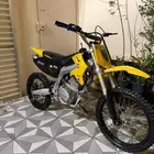 دباب صحراوي