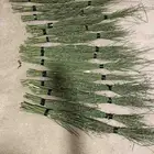 مرخ للبيع طازج الان