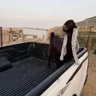 احجازيه