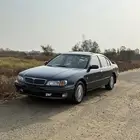 ماكسيما99