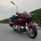 قولد وينق 2014