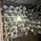 حمام مشكل بكستاني