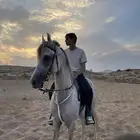 حصان كفوا شعبي