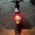 دباب ورد العمودي الصلي