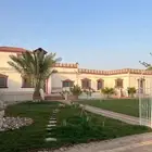 عرض