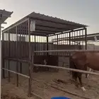 غرف خيل تركيب