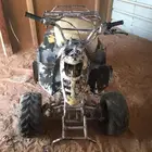 دباب حجم وسط