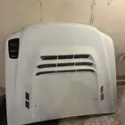 كبوت قفاري فتك