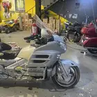 قولد وينق دباب