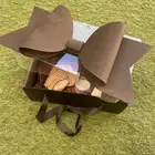 بوكسات شتويه