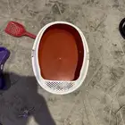 مستلزمات قطط ا