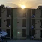 محاكر وحمام ودجاج