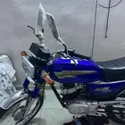 دباب الوسام الناري 2025