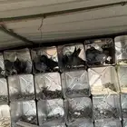 حمام دحل سوادي