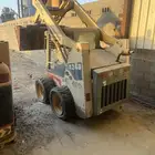 بوبكات كتر وبوبكات جلي