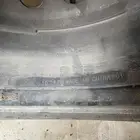 جنوط التيما