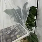 بكيله سلام الجوف