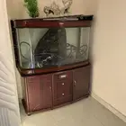 حوض اسماك ا