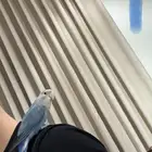 طير روز اليف ماءشالله