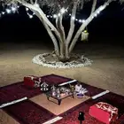 كشاف برق نجد